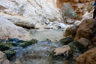 Wadi Bokek doğada saklıdır Judean desert İsrail'in