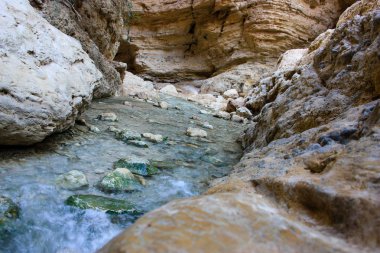 Wadi Bokek doğada saklıdır Judean desert İsrail'in