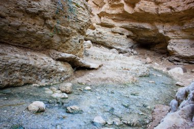 Wadi Bokek doğada saklıdır Judean desert İsrail'in
