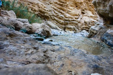 Wadi Bokek doğada saklıdır Judean desert İsrail'in
