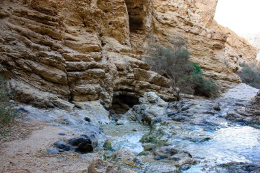 Wadi Bokek doğada saklıdır Judean desert İsrail'in