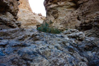 Wadi Bokek doğada saklıdır Judean desert İsrail'in