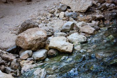 Wadi Bokek doğada saklıdır Judean desert İsrail'in