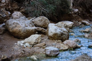 Wadi Bokek doğada saklıdır Judean desert İsrail'in