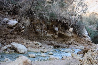 Wadi Bokek doğada saklıdır Judean desert İsrail'in
