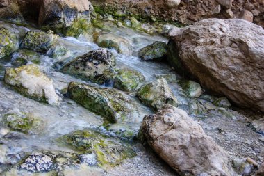Wadi Bokek doğada saklıdır Judean desert İsrail'in