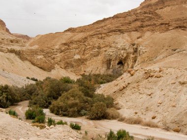 Wadi Bokek doğada saklıdır Judean desert İsrail'in