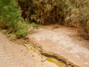 Wadi Bokek doğada saklıdır Judean desert İsrail'in