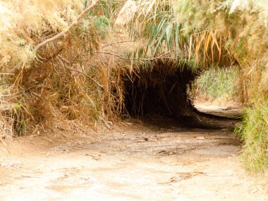 Wadi Bokek doğada saklıdır Judean desert İsrail'in