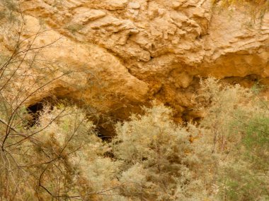 Wadi Bokek doğada saklıdır Judean desert İsrail'in