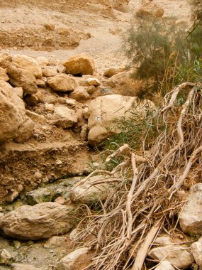 Wadi Bokek doğada saklıdır Judean desert İsrail'in