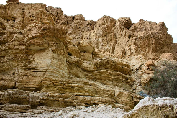 Természetvédelmi Wadi Bokek Júdeai Sivatag Izrael — Stock Fotó
