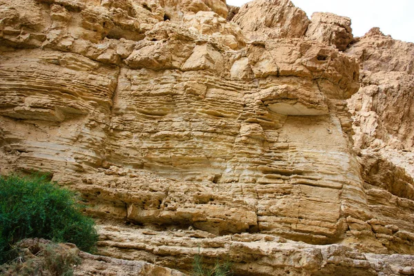 以色列犹太沙漠艾恩波克克河自然保护区的性质 — 图库照片