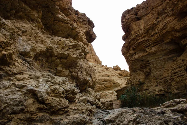 Wadi Bokek doğada saklıdır Judean desert İsrail'in