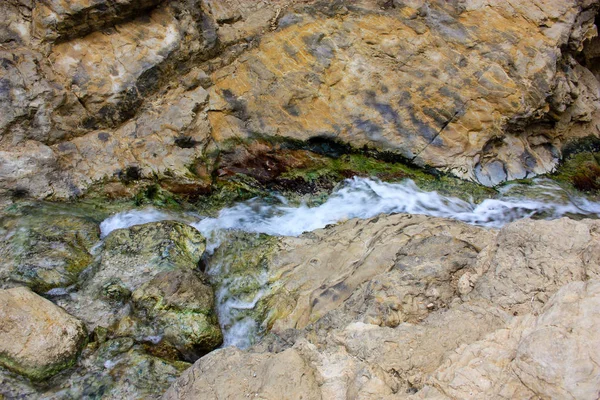 Natura Nella Riserva Wadi Bokek Del Deserto Della Giudea Israele — Foto Stock