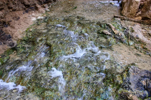 Příroda Wadi Bokek Rezervovat Judské Poušti Izraeli — Stock fotografie