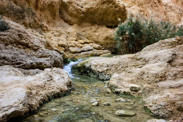 Wadi Bokek doğada saklıdır Judean desert İsrail'in