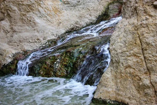 Wadi Bokek Natuurreservaat Van Judean Desert Israël — Stockfoto