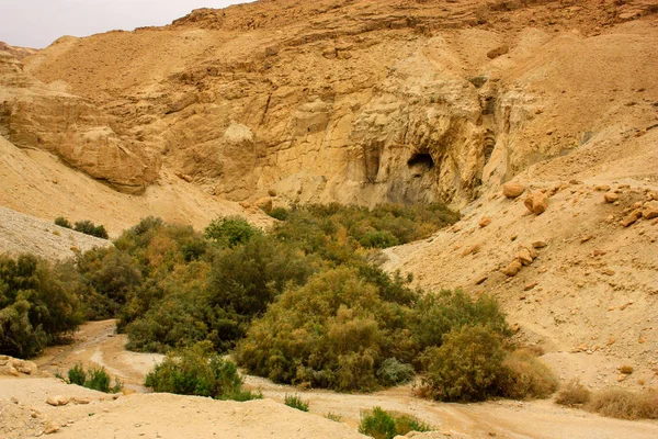 Natureza Reserva Bokek Wadi Deserto Judéia Israel — Fotografia de Stock