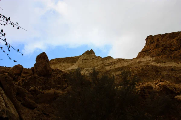 Natureza Reserva Bokek Wadi Deserto Judéia Israel — Fotografia de Stock