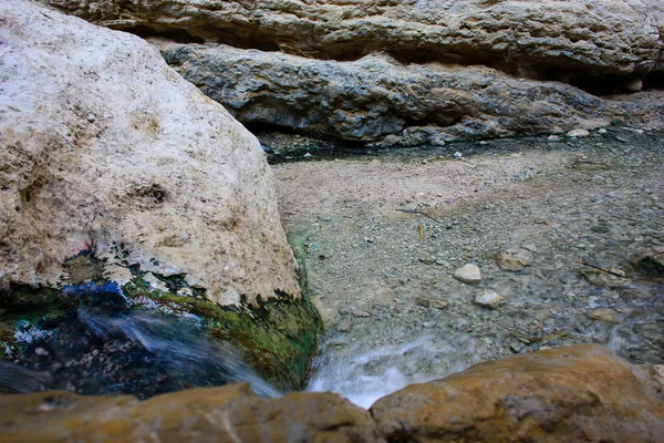 Naturaleza Reserva Wadi Bokek Del Desierto Judea Israel —  Fotos de Stock