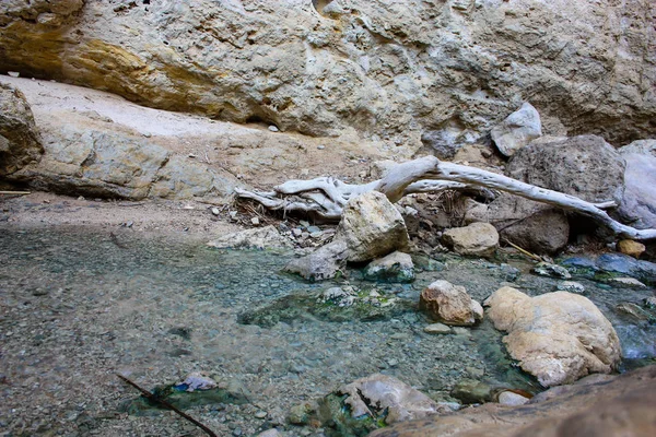 Natureza Reserva Bokek Wadi Deserto Judéia Israel — Fotografia de Stock