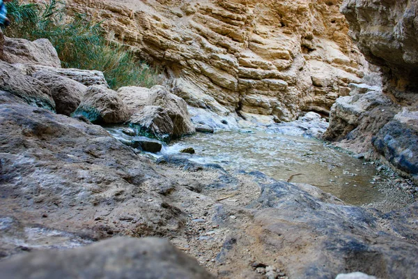 Natur Wadi Bokek Reservat Der Judäischen Wüste Israel — Stockfoto