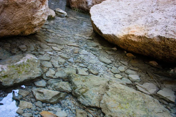 Rezerwat Przyrody Wadi Bokek Pustyni Judzkiej Izraelu — Zdjęcie stockowe
