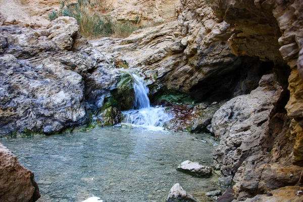 Wadi Bokek doğada saklıdır Judean desert İsrail'in