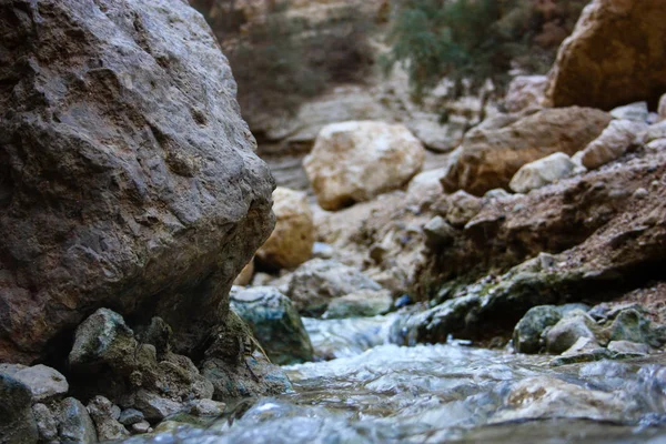 Nature Wadi Bokek Reserve Judean Desert Israel — Stock Photo, Image