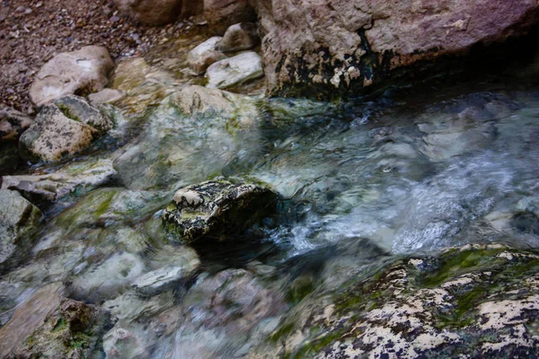 Příroda Wadi Bokek Rezervovat Judské Poušti Izraeli — Stock fotografie