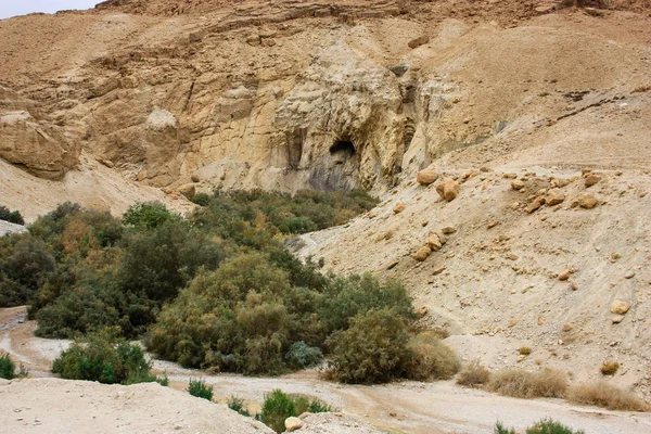 Rezerwat Przyrody Wadi Bokek Pustyni Judzkiej Izraelu — Zdjęcie stockowe