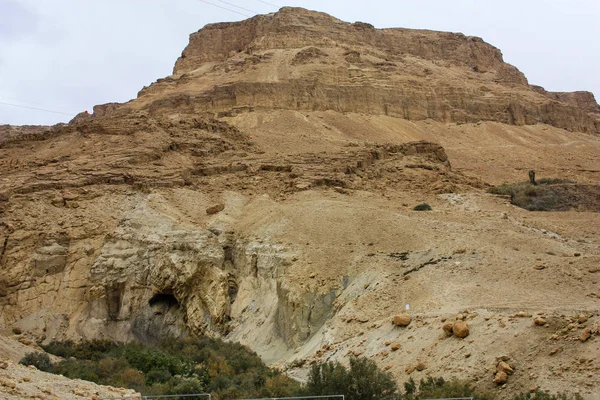 Αποθεματικό Της Φύσης Wadi Bokek Της Ερήμου Ιουδαϊκή Στο Ισραήλ — Φωτογραφία Αρχείου