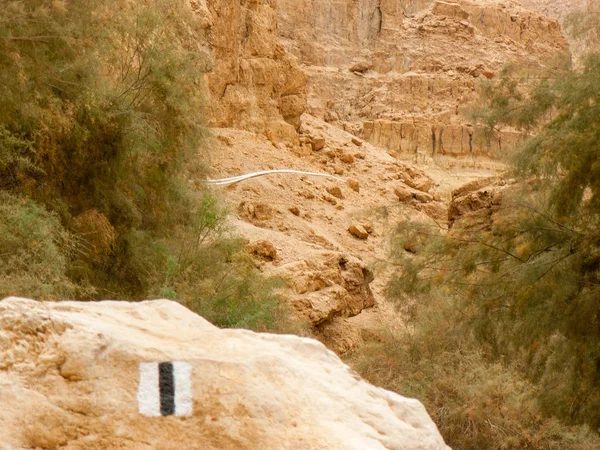 Заповідника Ваді Бокек Юдейські Пустелі Ізраїлі — стокове фото