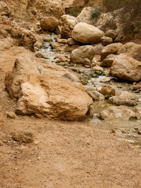 Wadi Bokek doğada saklıdır Judean desert İsrail'in
