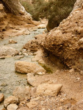 Wadi Bokek doğada saklıdır Judean desert İsrail'in
