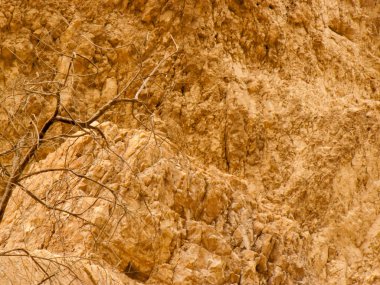 Wadi Bokek doğada saklıdır Judean desert İsrail'in