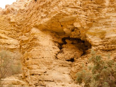 Wadi Bokek doğada saklıdır Judean desert İsrail'in