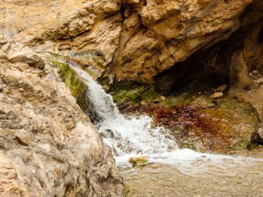 Wadi Bokek doğada saklıdır Judean desert İsrail'in
