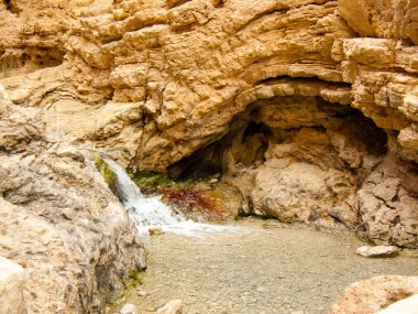 Wadi Bokek doğada saklıdır Judean desert İsrail'in