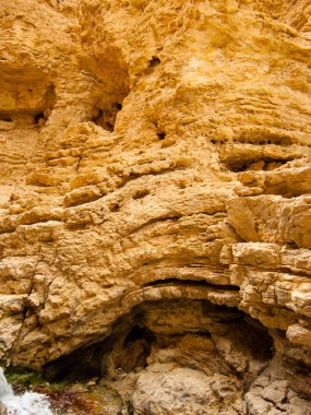 Wadi Bokek doğada saklıdır Judean desert İsrail'in