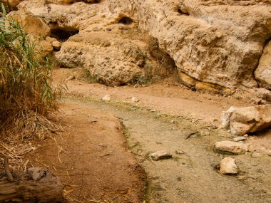 Wadi Bokek doğada saklıdır Judean desert İsrail'in