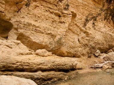 Wadi Bokek doğada saklıdır Judean desert İsrail'in