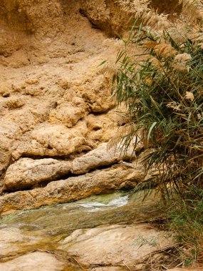 Wadi Bokek doğada saklıdır Judean desert İsrail'in