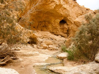Wadi Bokek doğada saklıdır Judean desert İsrail'in