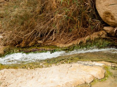 Wadi Bokek doğada saklıdır Judean desert İsrail'in