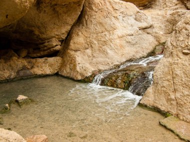 Wadi Bokek doğada saklıdır Judean desert İsrail'in