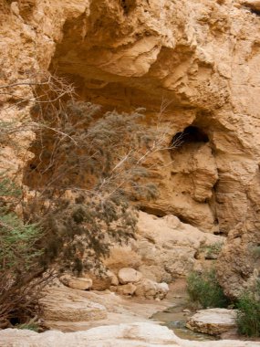 Wadi Bokek doğada saklıdır Judean desert İsrail'in