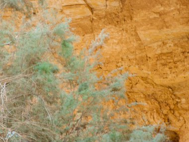 Wadi Bokek doğada saklıdır Judean desert İsrail'in