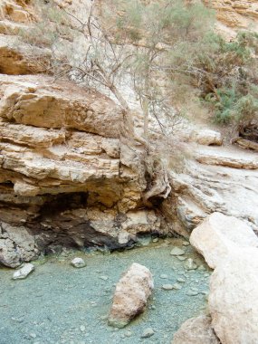 Wadi Bokek doğada saklıdır Judean desert İsrail'in